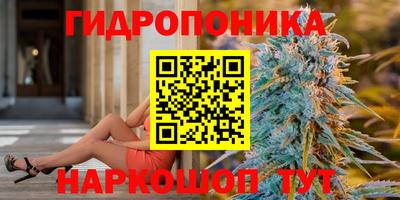 индика Малоярославец