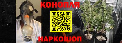 индика Малоярославец
